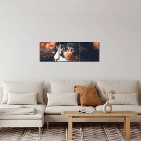Tablou - Privirea pisicii (cu ceas) (90x30 cm)
