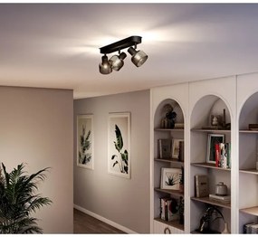 Spot Philips SLEET 3xE14/25W/230V