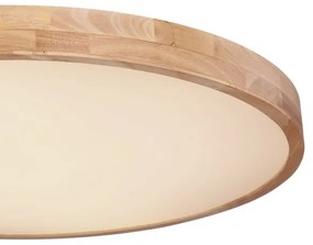 Globo 41745-60 - Plafonieră LED RAINER dimabilă LED/60W/230V cu DO