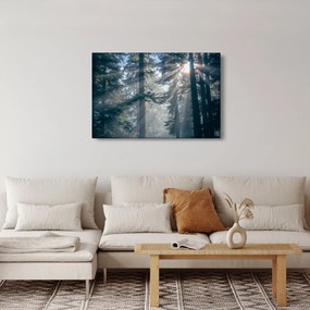 Tablou cu copaci și soarele translucind (90x60 cm)
