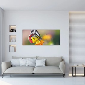 Tablou - Fluture pe floare (120x50 cm)