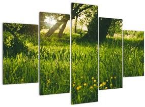 Tablou cu natura - lunca (150x105 cm)