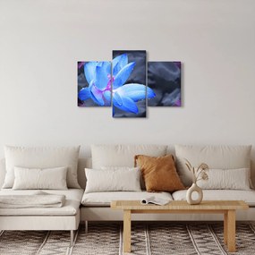 Tablou florilor în detailu (90x60 cm)