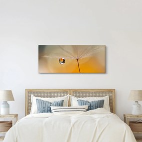 Tablou - Flori macro (120x50 cm)