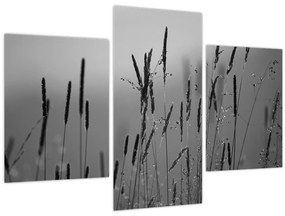 Tablou - Lamele de iarbă (90x60 cm)