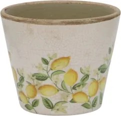 Ghiveci Limone Blossom cu lămâi și flori