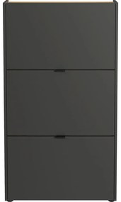 Set pentru hol gri antracit 101x200x22 cm Ameca – Germania