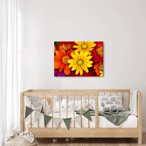 Tablou cu floare (70x50 cm)