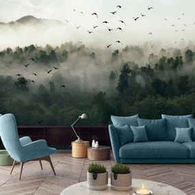 Fototapet - Păsări, pădure și ceață (254x184 cm), în 8 de alte dimensiuni noi