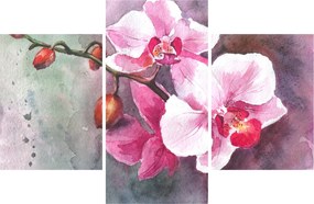 Tablou - Orhidee, acvariu (90x60 cm)