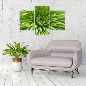 Tablou - Imagine macro a unei plante (90x60 cm)