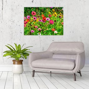 Tablou pe sticlă cu flori de luncă (70x50 cm)