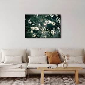 Tablou - Pânză de păianjen (90x60 cm)