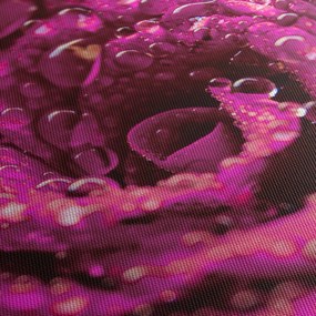 Tabloul cu floarea trandafirului roz (90x60 cm)