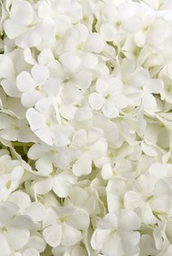 Aranjament floral elegant in forma de sfera, SNOWBALL MELANGE 1141044.95