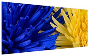 Tablou - detaliu florilor (120x50 cm)