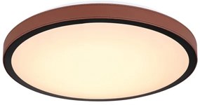 Plafonieră LED SAMMI LED/24W/230V 3000/4500/6000K Globo 41766-24