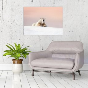 Tablou - Urs polar (70x50 cm)