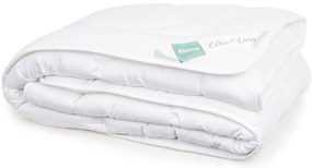 Set pilotă și pernă Aloe Premium, 140 x200 cm, 70 x 90 cm, 140 x 200 cm, 70 x 90 cm