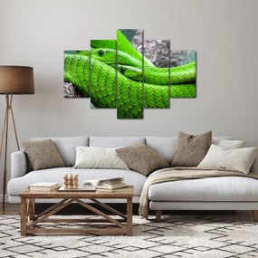Tablou cu șerpi verzi (150x105 cm)