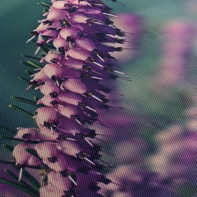 Tablou cu lavanda (120x50 cm)