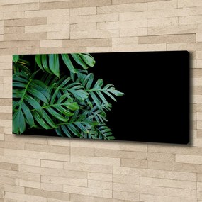 Print pe canvas Monstera