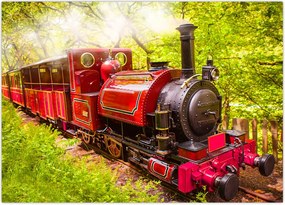 Tablou - Tren cu aburi (70x50 cm)