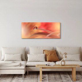 Tablou picăturii de rouă pe floare (120x50 cm)
