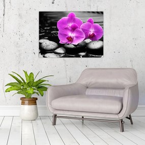 Tablou pe sticlă - Orhidee violet (70x50 cm)