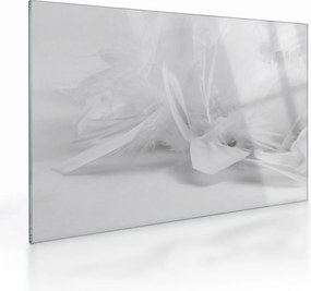 Tablou pe sticlă - Pene (70x50 cm)