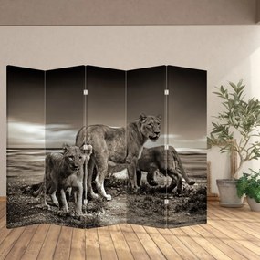 Paravan - Leii alb negri (210x170 cm)