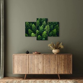 Tablou - Pădure (90x60 cm)