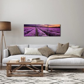 Tablou - Câmp de lavandă la apus de soare (cu ceas) (90x30 cm)