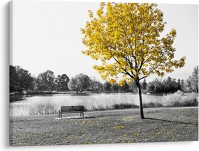 Tablou - relaxare în parc (70x50 cm)