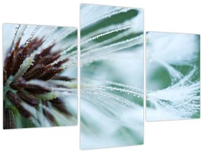 Tablou - Detaliu floare (90x60 cm)