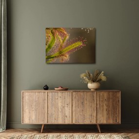 Tablou cu plantă (70x50 cm)