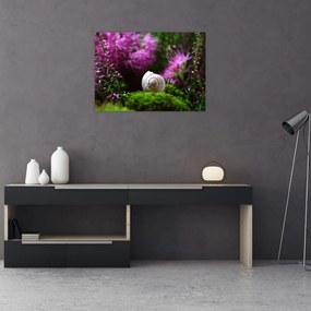 Tablou - Cochilie de melc (70x50 cm)