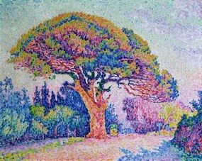 Reproducere The Pine Tree at St. Tropez, 1909, Paul Signac