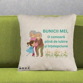 Cadou pentru Bunici - Perna Personalizata Bunicii Mei Comoara Iubire Intelepciune Nepoata, 40x40 cm, Bej Canapea, Husa Detasabila, Perna Inclusa, BEKZ®