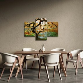 Tablou - Arțarul japonez galben, Portland, Oregon (90x60 cm)