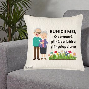 Cadou pentru Bunici - Perna Personalizata Bunicii Mei Comoara Cuplu Senior cu Flori Colorat, 40x40 cm, Crem Reliefat, Husa Detasabila, Perna Inclusa, BEKZ®