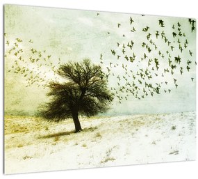 Tablou pe sticlă - cu multe păsări pictate (70x50 cm)