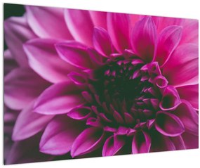 Tablou cu floarea roz (90x60 cm)
