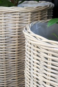 Set 3 Ghivece French Basket din salcie impeltita, Jardin