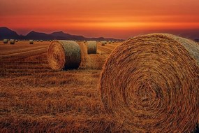 Fototapet baloturi de fân