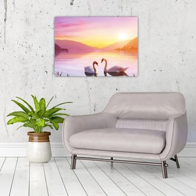 Tablou pe sticlă - Lebăde îndrăgostite (70x50 cm)