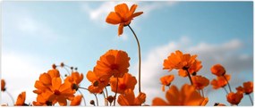 Tablou - Flori sălbatice (120x50 cm)