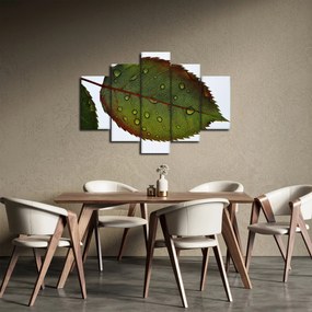 Tablou - Frunze de trandafir (150x105 cm)