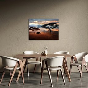 Tablou - Parcul Național Serengeti, Tanzania, Africa (70x50 cm)