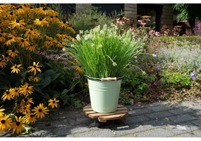 Bază mobilă pentru ghiveci din lemn ø 29 cm (înălțime 8 cm) Indoor &amp; Outdoor – Esschert Design